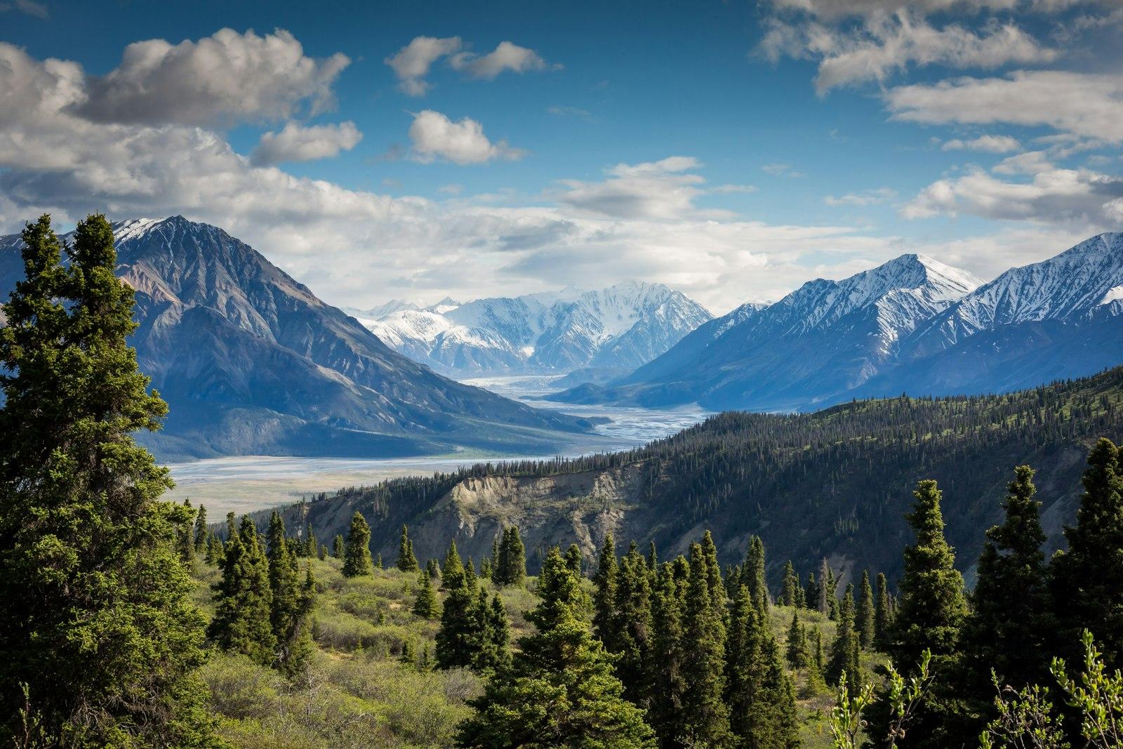 Alpine peaks above forested valleys under a blue sky